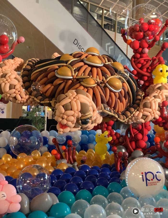 News I IPC购物商场气球展又来了！8万7千颗环保气球打造海洋世界 更多热点 图2张